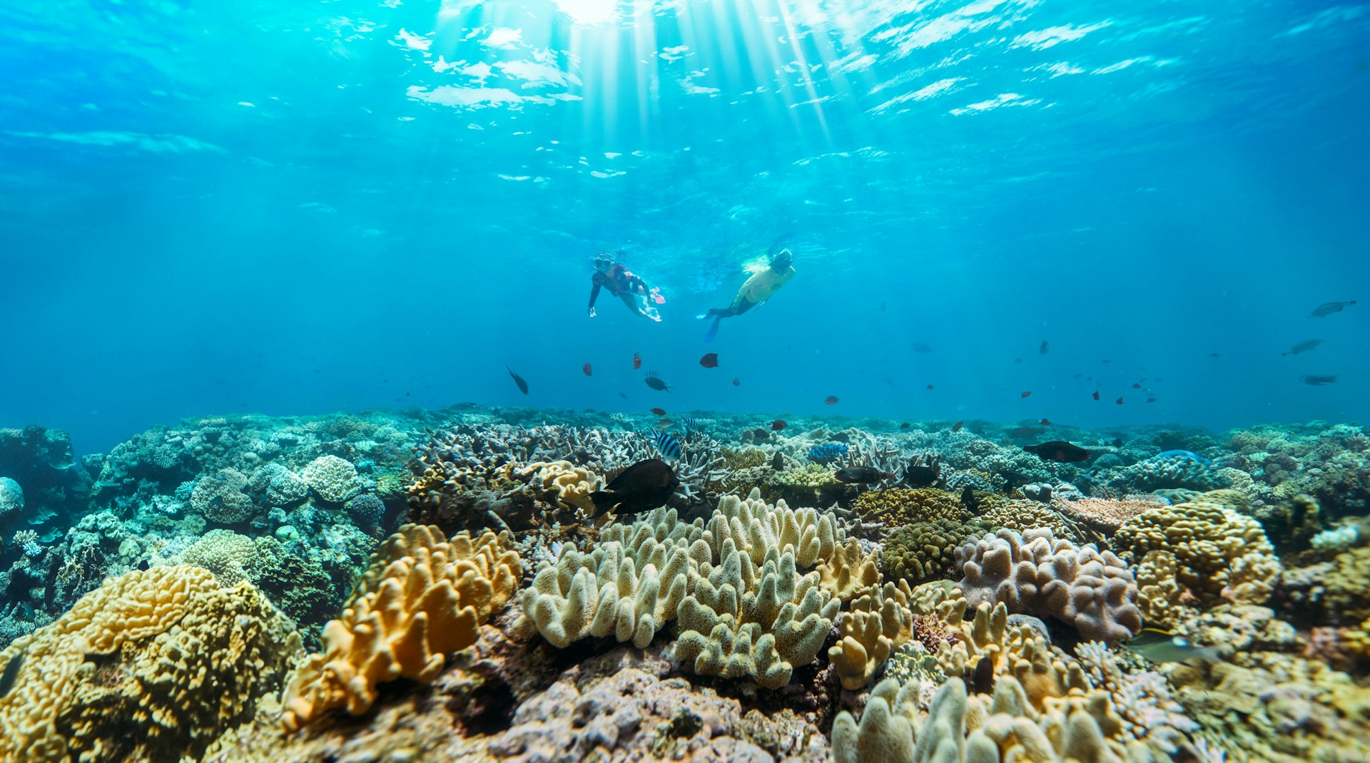 Two people snorkeling over a vibrant coral reef in clear blue ocean water